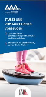 STÜRZE UND VERSTAUCHUNGEN VORBEUGEN – Association d'assurance accident