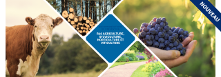 R16 Agriculture, sylviculture, horticulture et viticulture – Recommandations de prévention -  Slider Site AAA  FR - 2