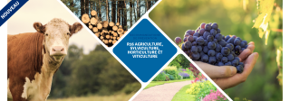 R16 Agriculture, sylviculture, horticulture et viticulture – Recommandations de prévention -  Slider Site AAA  FR - 2